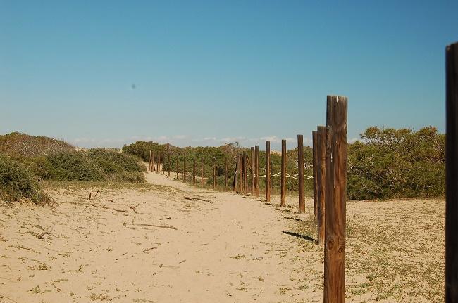 Apartamento Pinada Beach- La Mata ลามาตา ภายนอก รูปภาพ